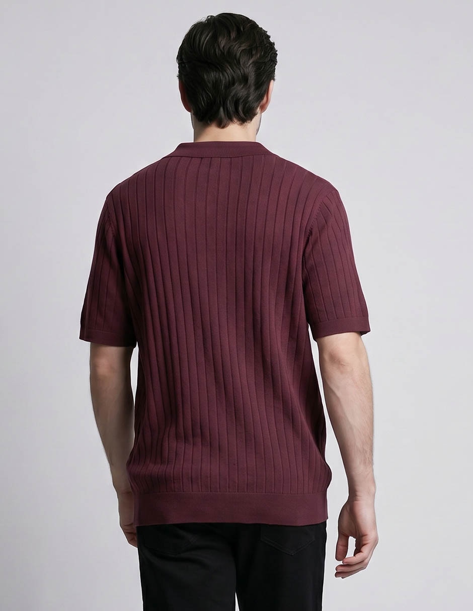 Playera tipo polo para hombre 2